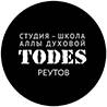 Иконка канала Todes Reutov