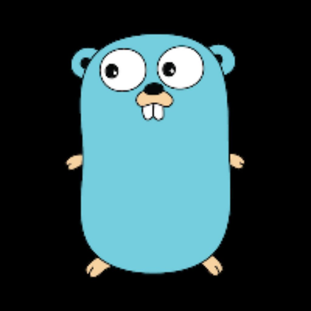 Golang play