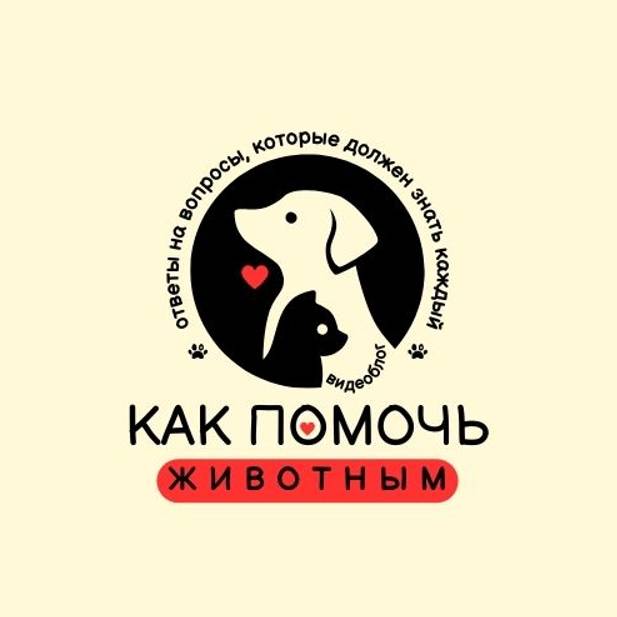 Иконка канала КАК ПОМОЧЬ ЖИВОТНЫМ