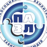 Иконка канала АНО "ПАЗЛ" - Денис Злобин