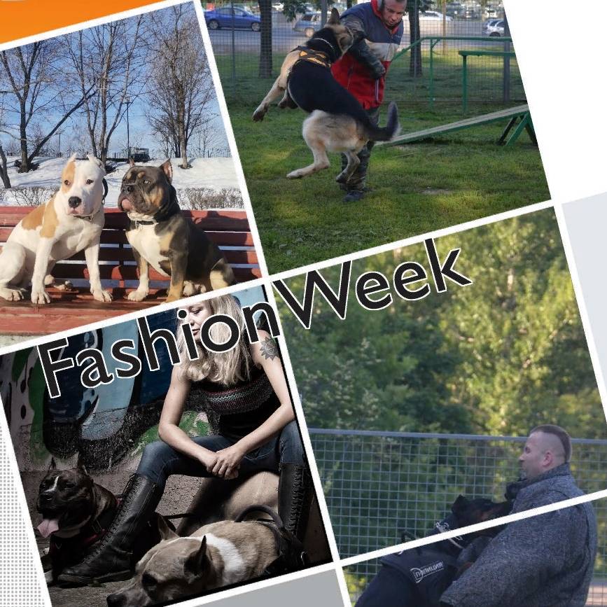 Иконка канала Reyshop ru