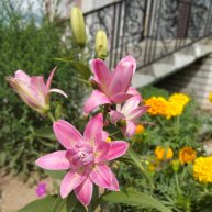 Иконка канала Хочу на дачу. Марий Эл