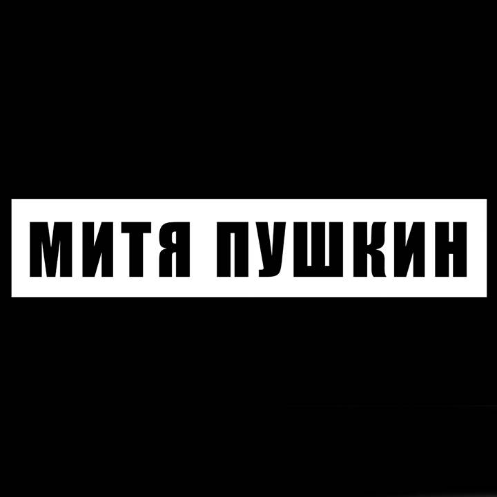 Иконка канала Митя Пушкин