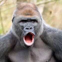 Иконка канала СаМеЦ