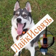 Иконка канала Лайки связь