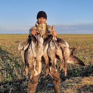 Иконка канала Александр Дружинин