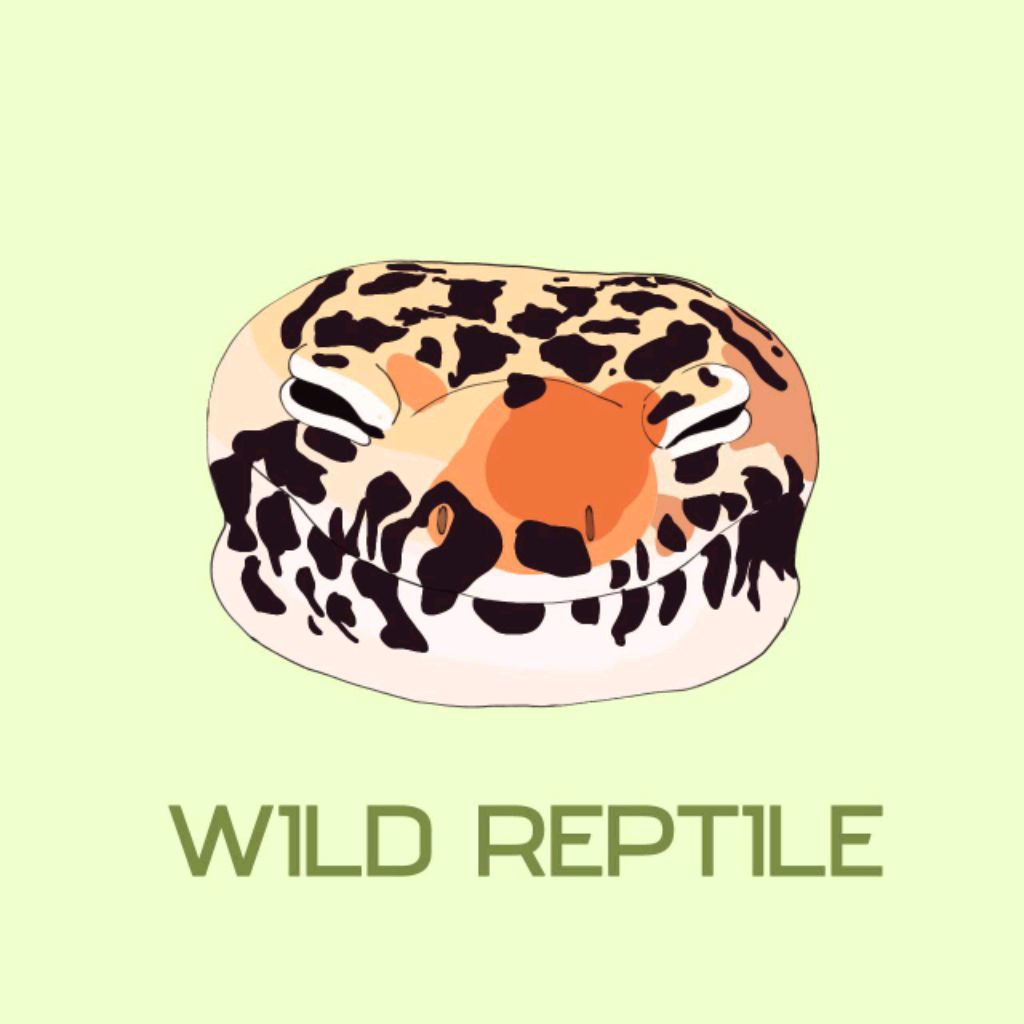 Иконка канала Wild reptile 🐊