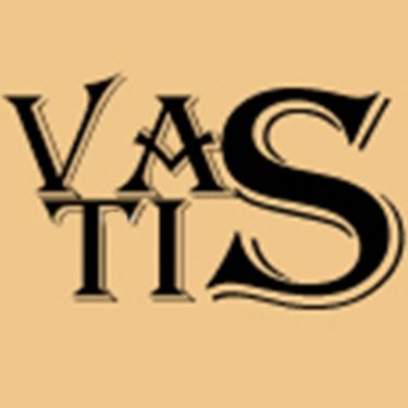 Иконка канала vastis