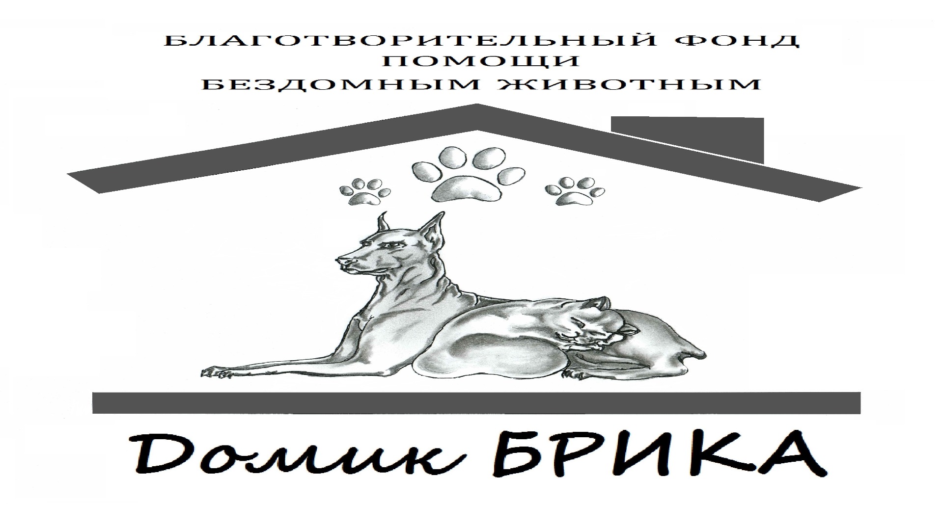 Иконка канала Фонд "Домик Брика"