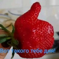 Иконка канала Иваныч ТВ