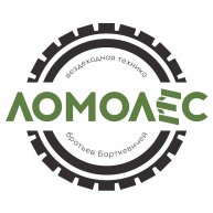 Иконка канала Мастерская вездеходной техники ЛОМОЛЕС