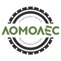 Иконка канала Мастерская вездеходной техники ЛОМОЛЕС