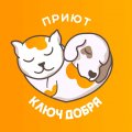 Иконка канала Приют спасённых "Ключ Добра"