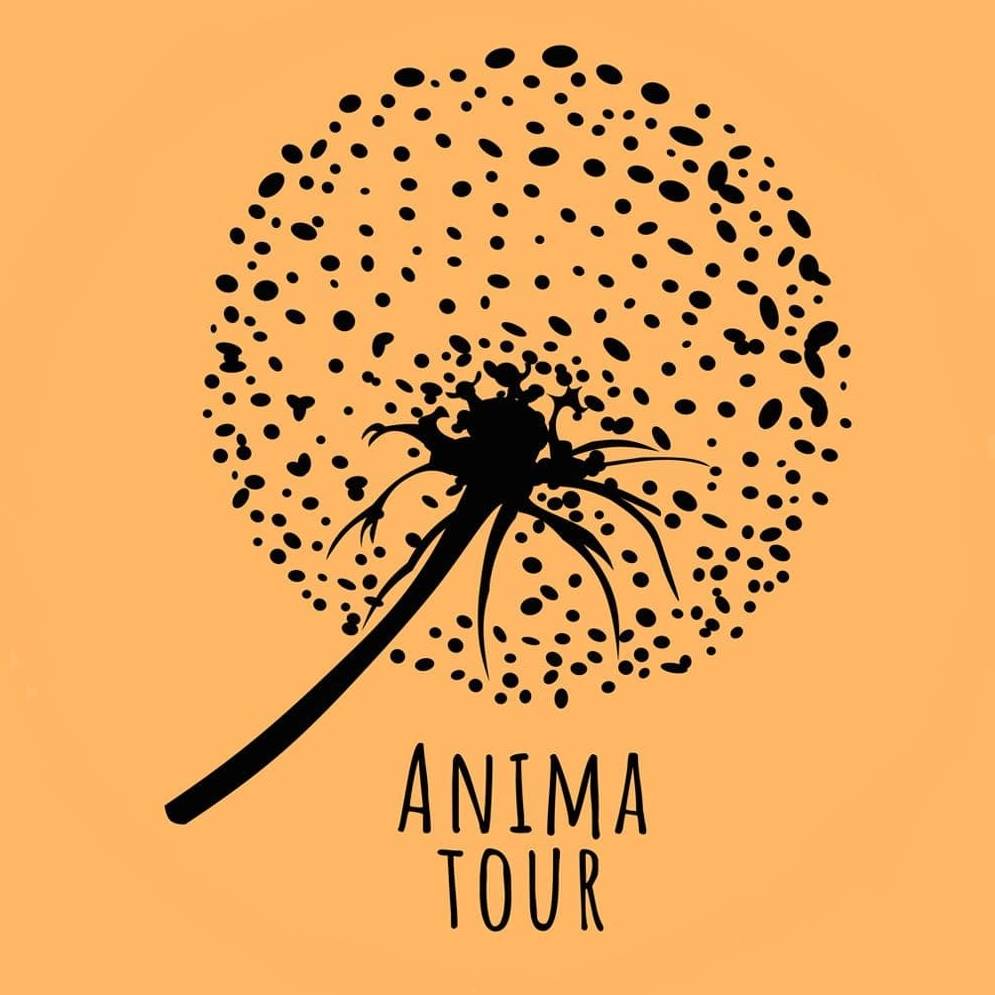Иконка канала Anima Tour