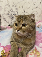 Иконка канала Evgeniy Forever