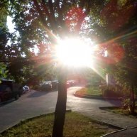 Иконка канала Преобразователи А.Тюрина из натурального дерева