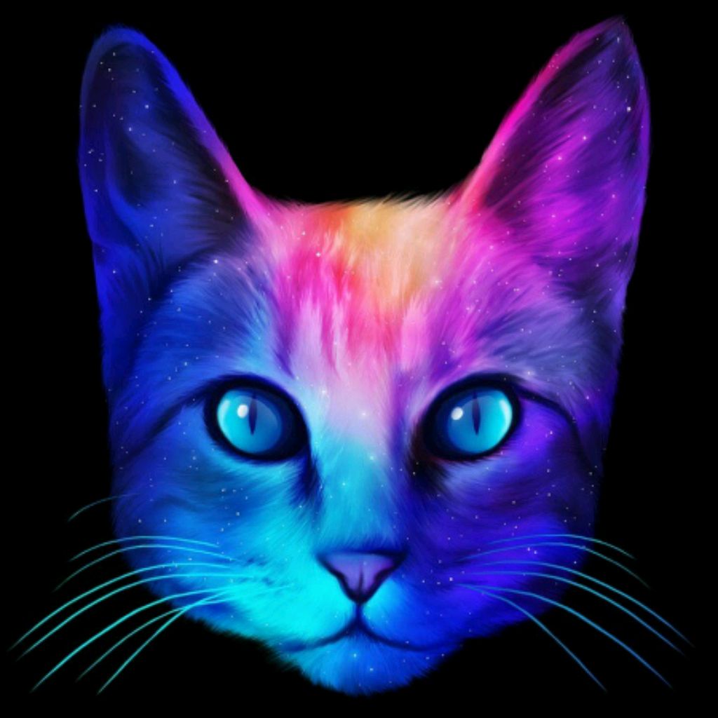 Неоновые Картинки Котиков
