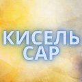 Иконка канала КисельСар