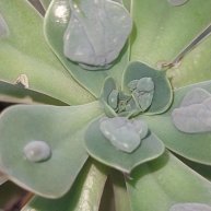 Иконка канала Мир Ирины