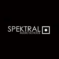 Иконка канала SPEKTRAL AUDIO SCHOOL