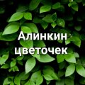 Иконка канала Flowers Plantz  (Алинкин цветочек)