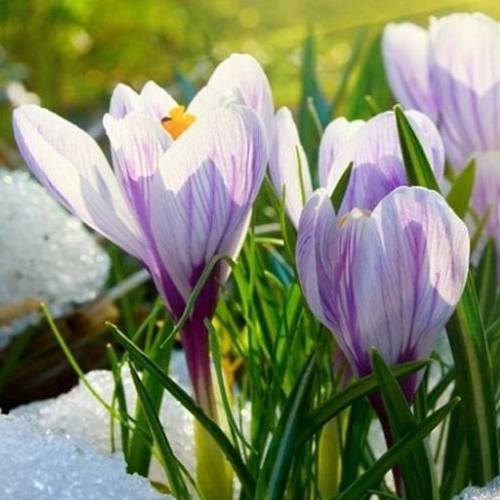 Иконка канала channel30724752