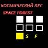 Иконка канала Space Forest