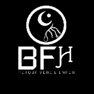 Иконка канала BFHmusik ☑