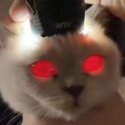 Иконка канала Gallimka