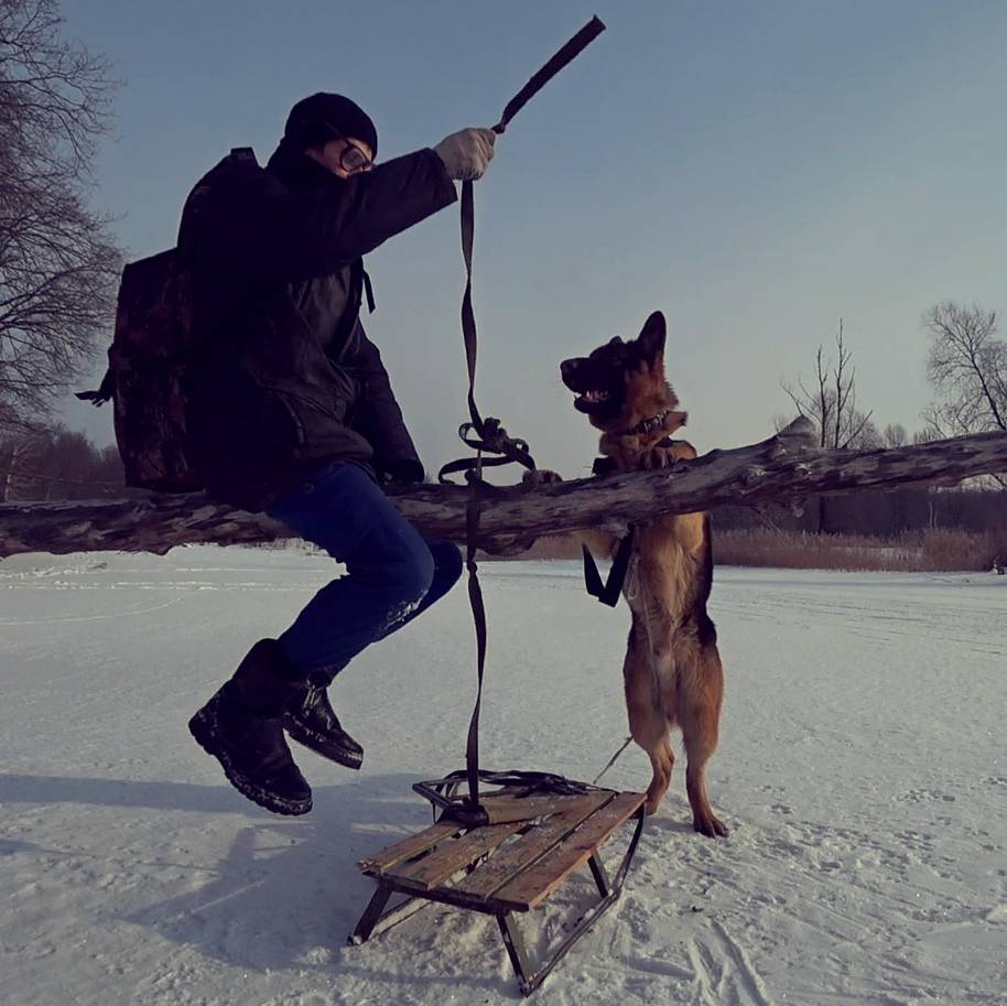 Собака ларри. Рыбалка с Ларри псом. Лари пес рыбалка. Красивые шлейки для собак. Блогер земеля рыбалка с собакой лари.