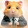 Иконка канала Hamster Secrets