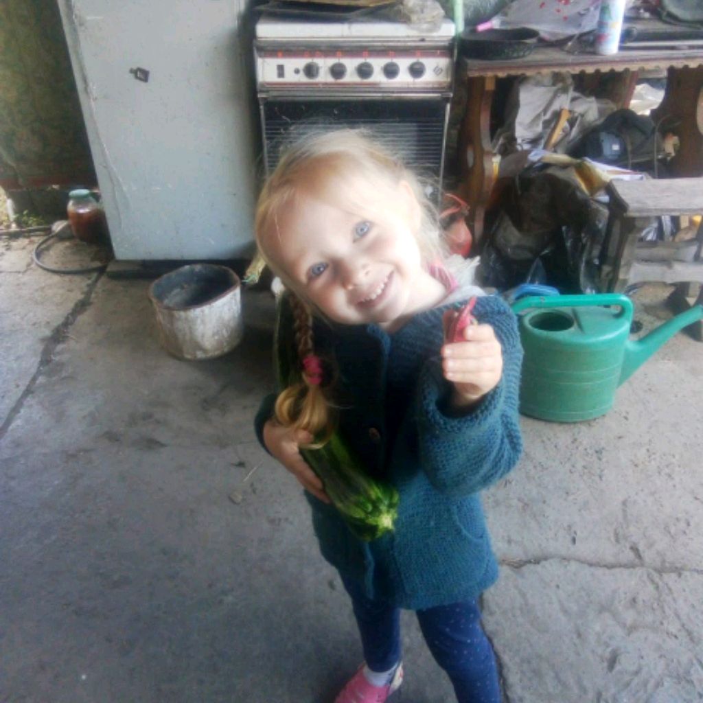 ОЛЬГА ИЛЬИНИЧНА. Смотрите видео онлайн, бесплатно