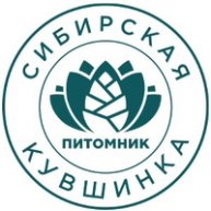 Иконка канала Сибирская Кувшинка