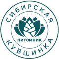 Иконка канала Сибирская Кувшинка