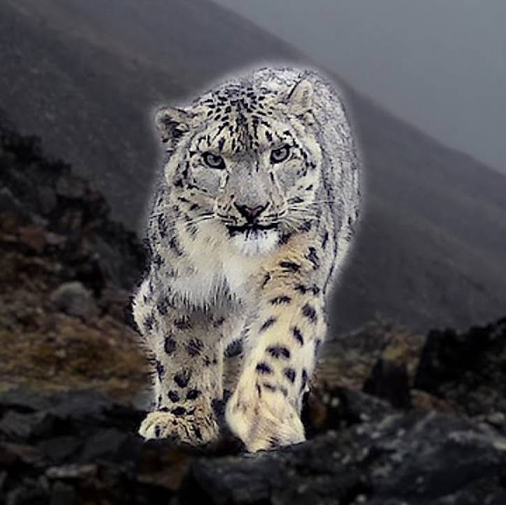 Аватар