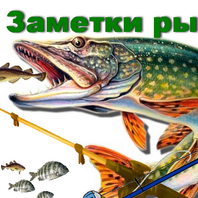 Иконка канала Заметки рыбака