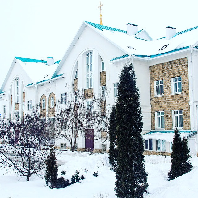 Приют бим. Приют в отрадной. Приют в отрадной. Приют покров в отрадном. Приют собачий камышлов бима.