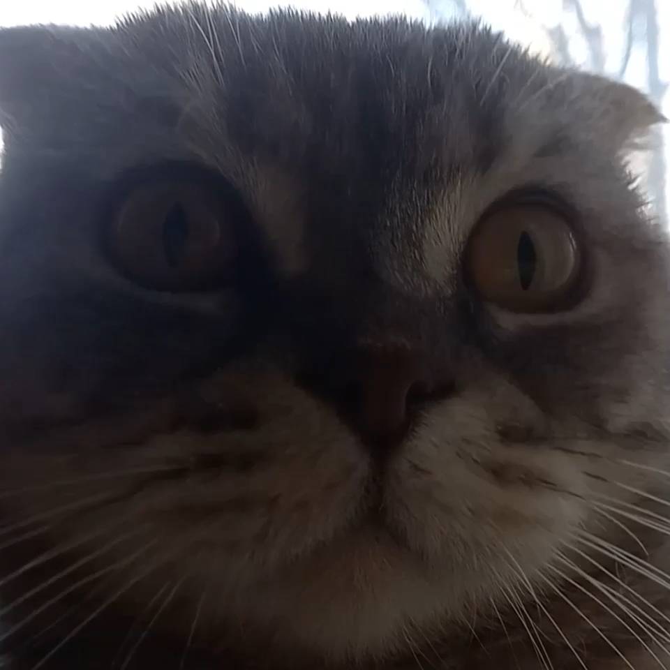 Иконка канала Города России