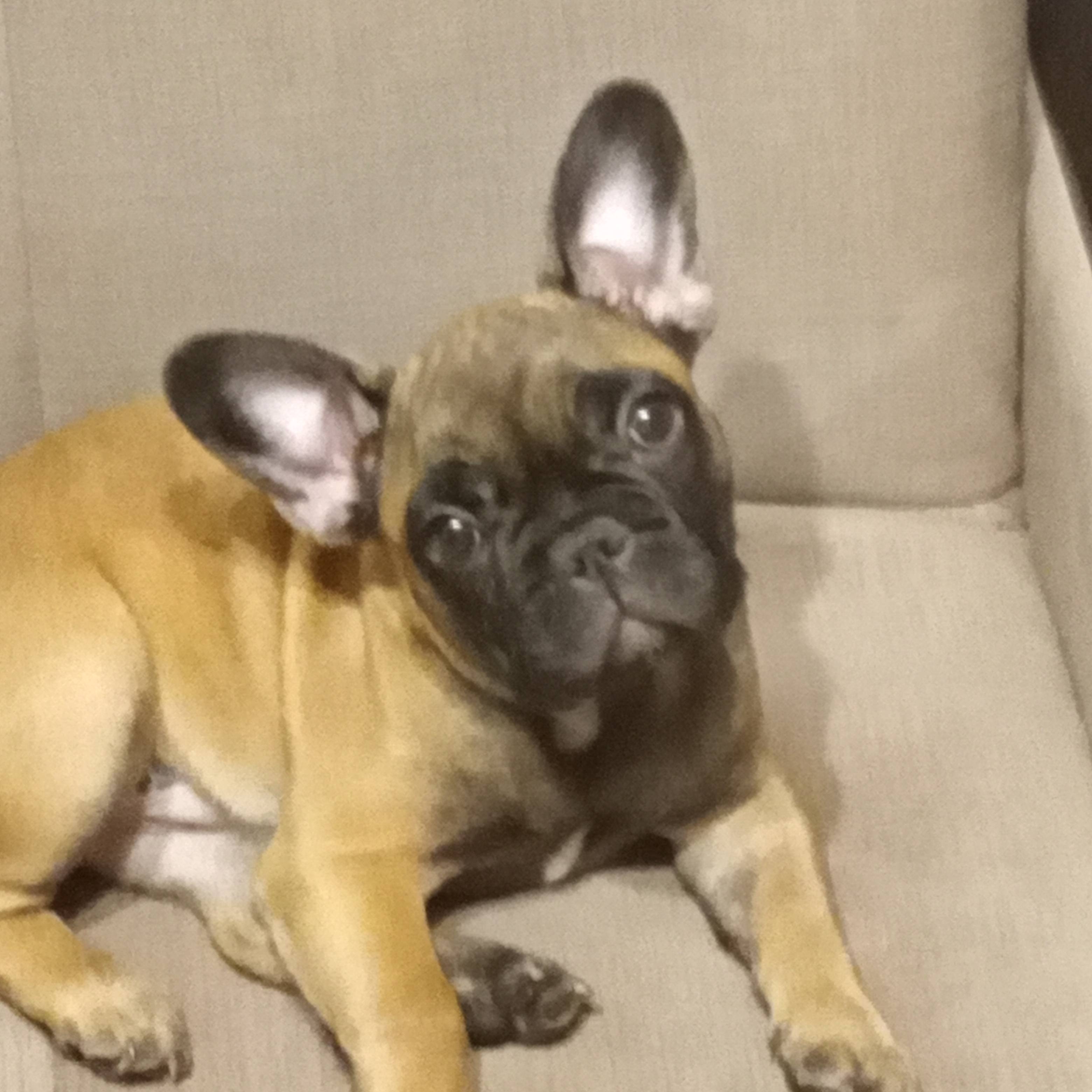 Иконка канала Ярик