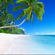 Иконка канала Мир прекрасен!