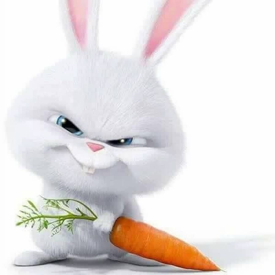 Тайная жизнь домашних животных кролик с морковкой