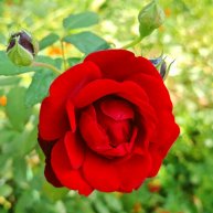 Иконка канала Наша жизнь в Узбекистане