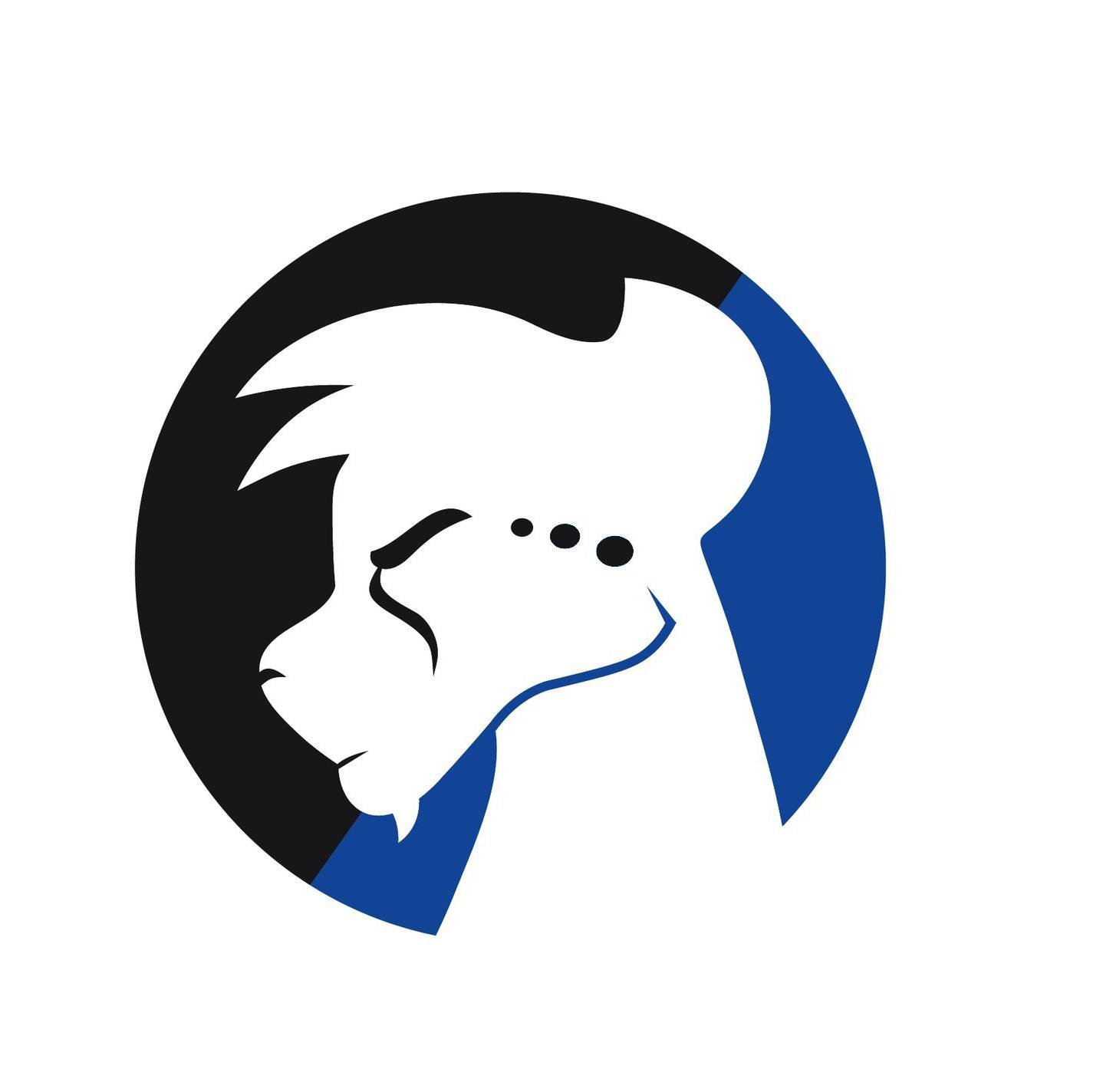 Иконка канала Cheetahs Drumline