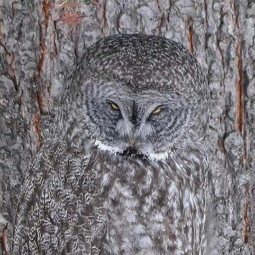 Иконка канала channel_YurIvAnt