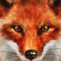 Иконка канала Good Fox