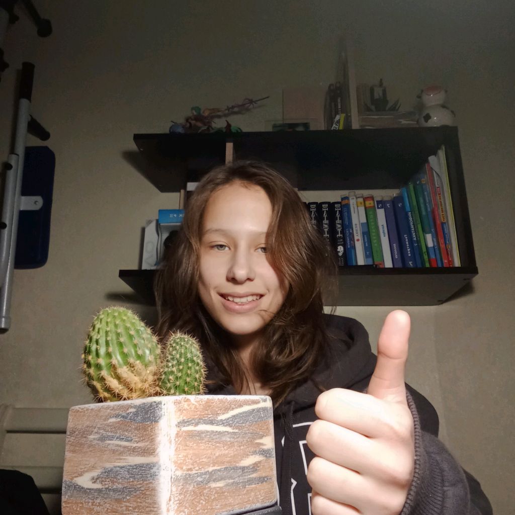skillkat. Смотрите видео онлайн, бесплатно