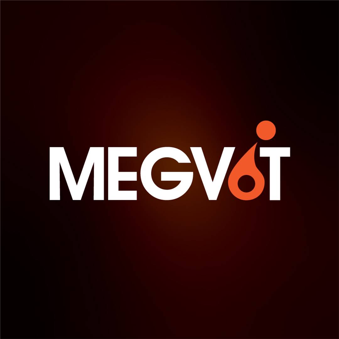 Иконка канала MEGVIT - Автохимия для детейлинга