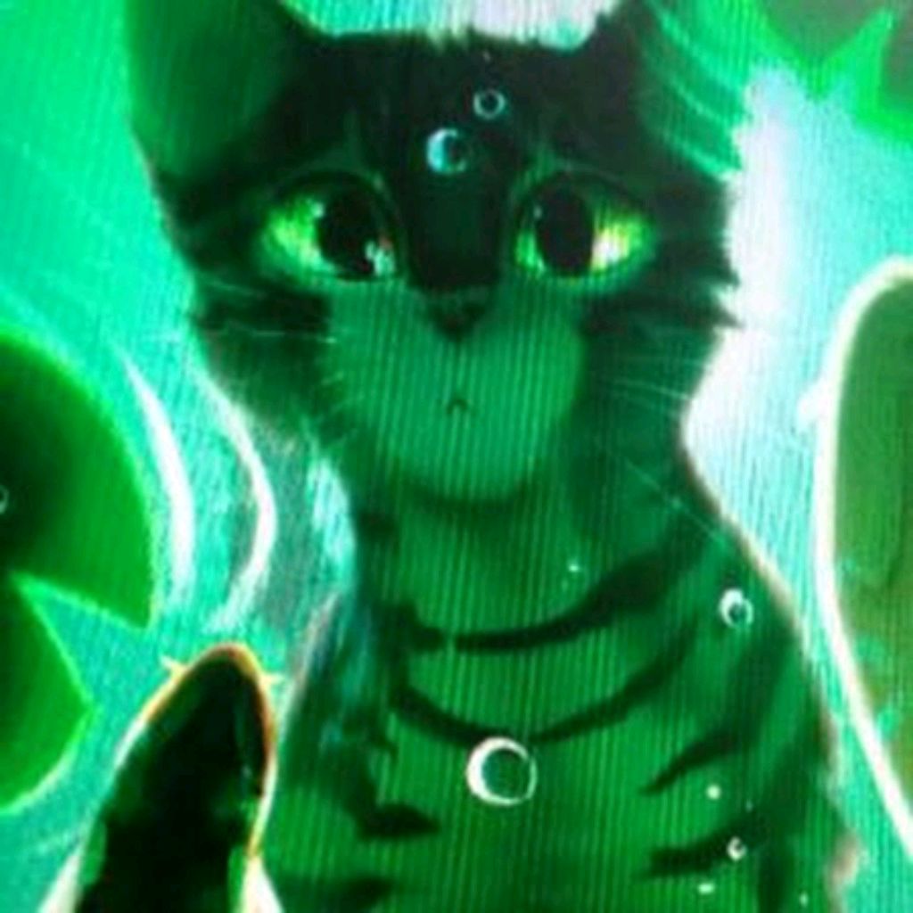 Зеленые коты10