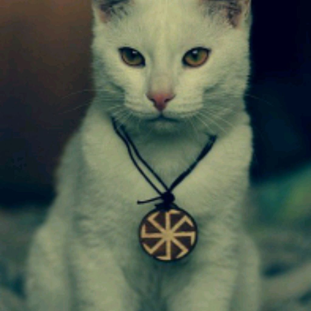 Иконка канала Voleslav