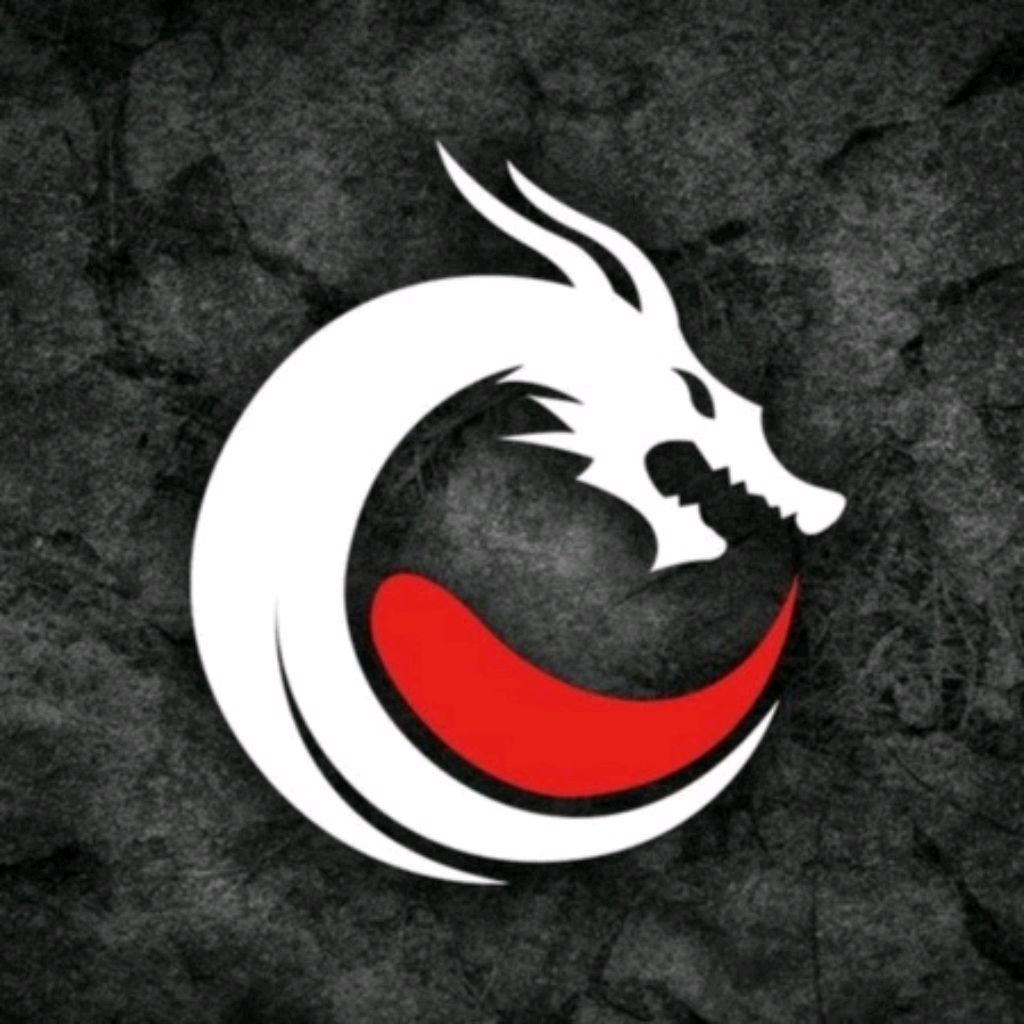 Драконы кс го. Эмблема клана. Крутые эмблемы. Крутые эмблемы для команды. Дракон логотип.